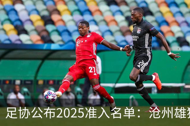 足协公布2025准入名单：沧州雄狮、广州队无缘